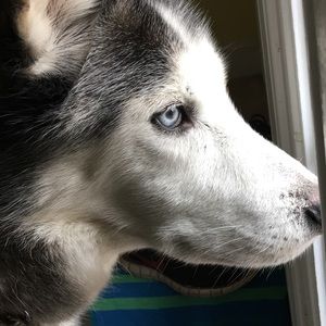 Meet your Posher, Chloe